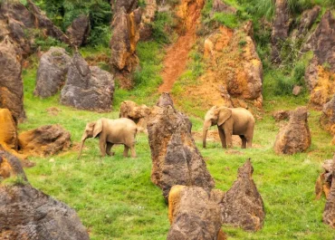 El Parque de Cabárceno