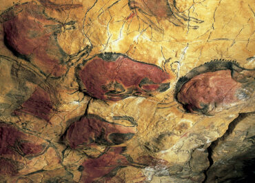 Porqué visitar la Neocueva y Museo de Altamira